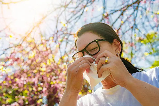 The Best Natural Allergy Supplements for Long-Term Symptom Support