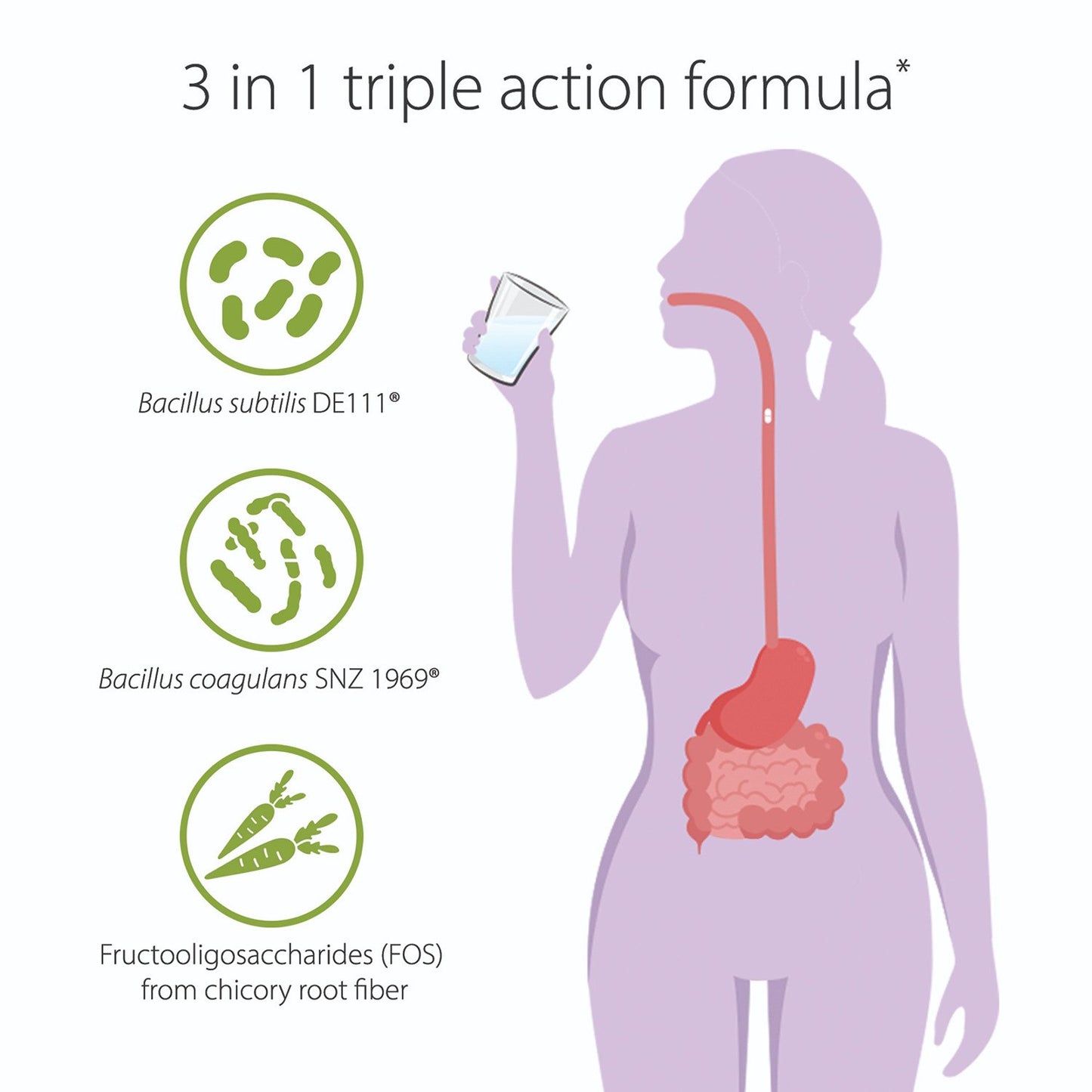UltraFlora® 3-in-1 Daily Probiotic