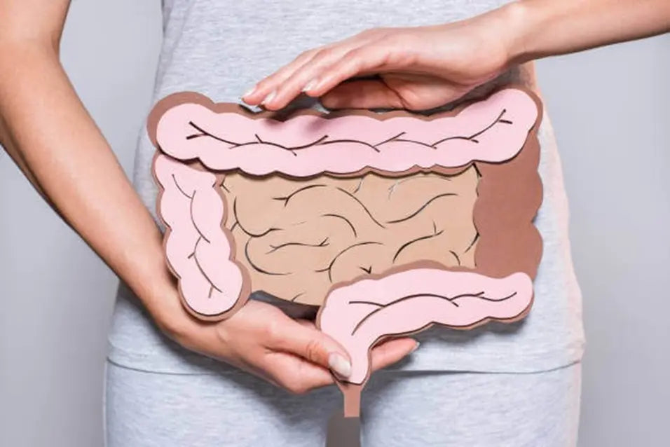 Functional Medicine for Digestive Health: A Root-Cause Approach to Gut Healing
