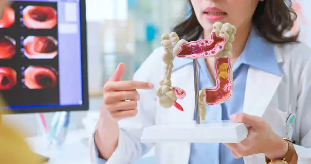 GI MAP Test: A Comprehensive Guide to Gut Health Testing