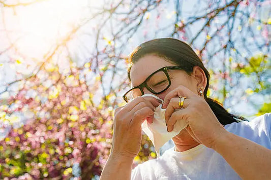 The Best Natural Allergy Supplements for Long-Term Symptom Support