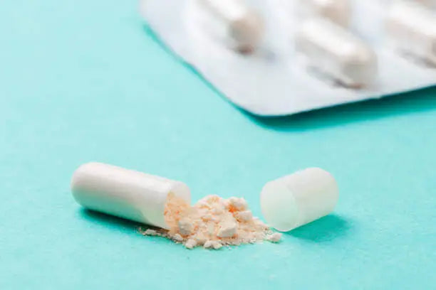 The Power of Spore-Based Probiotics for Your Gut Health