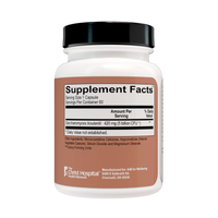 Fundamental Sacc B