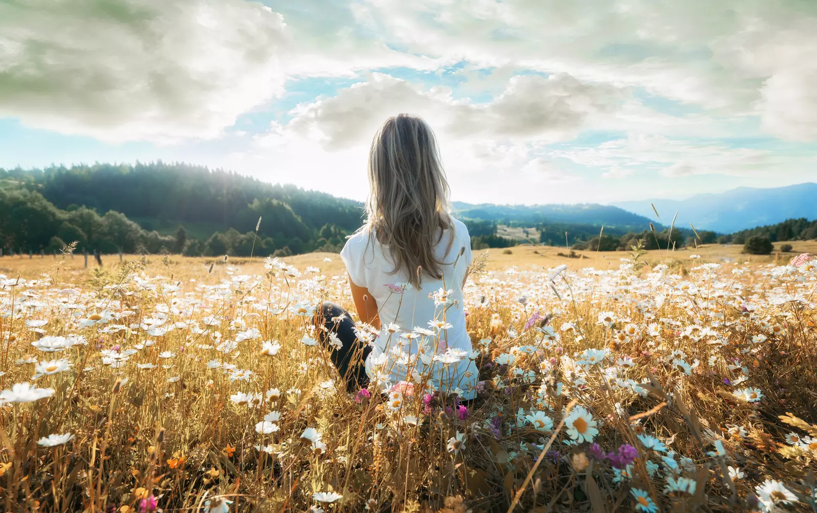 woman sitting in field of flowers