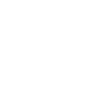 brain icon